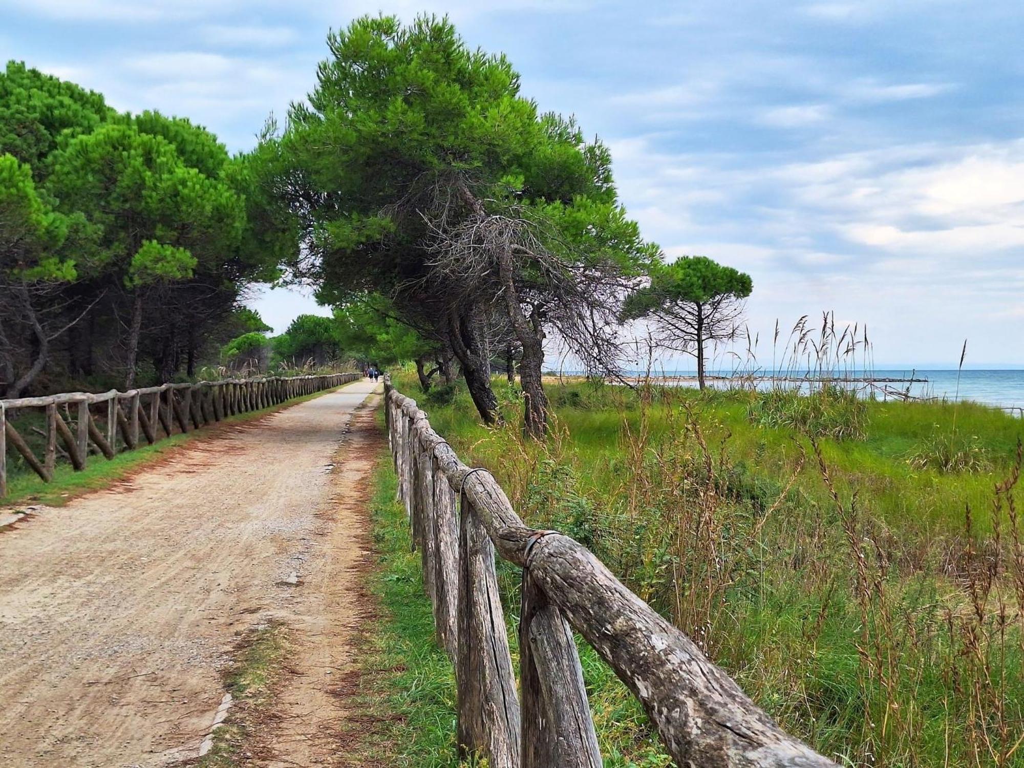 Appartamento Three-room Bright Flat 150m From The Sea *